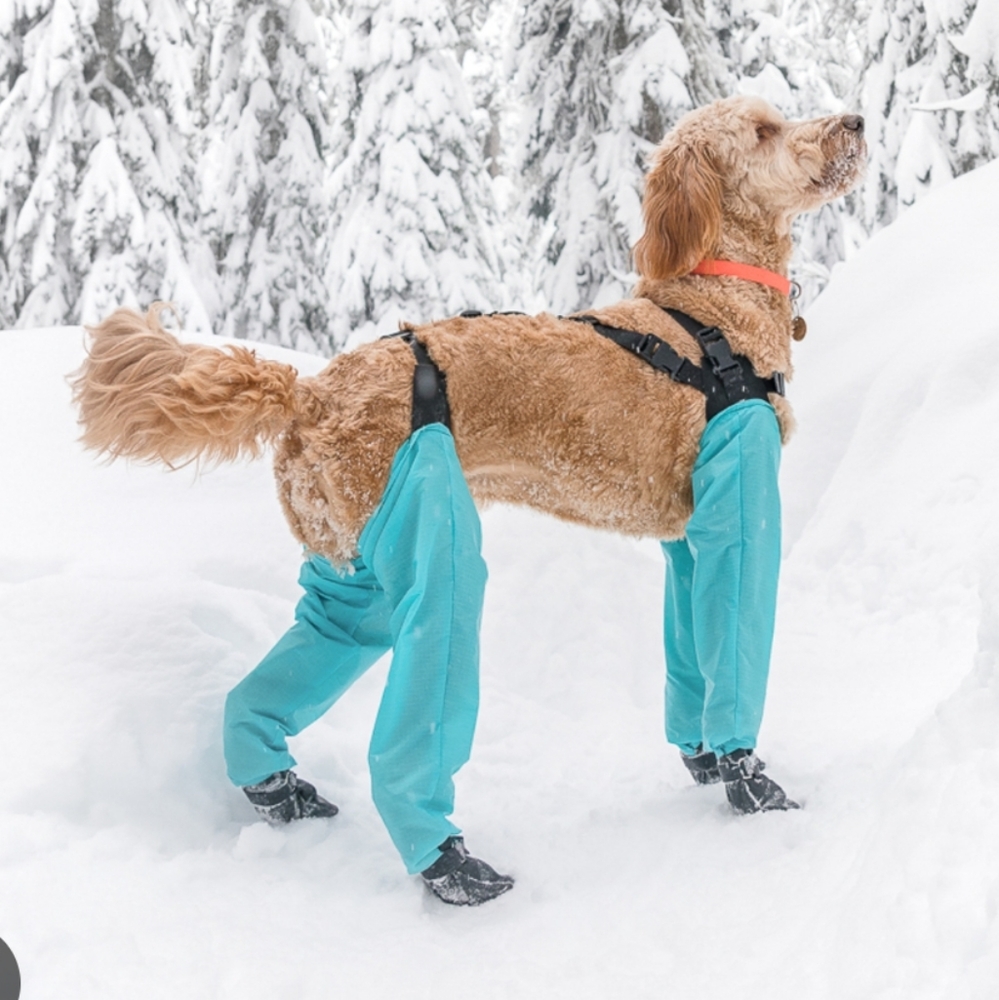 Dog gaiters